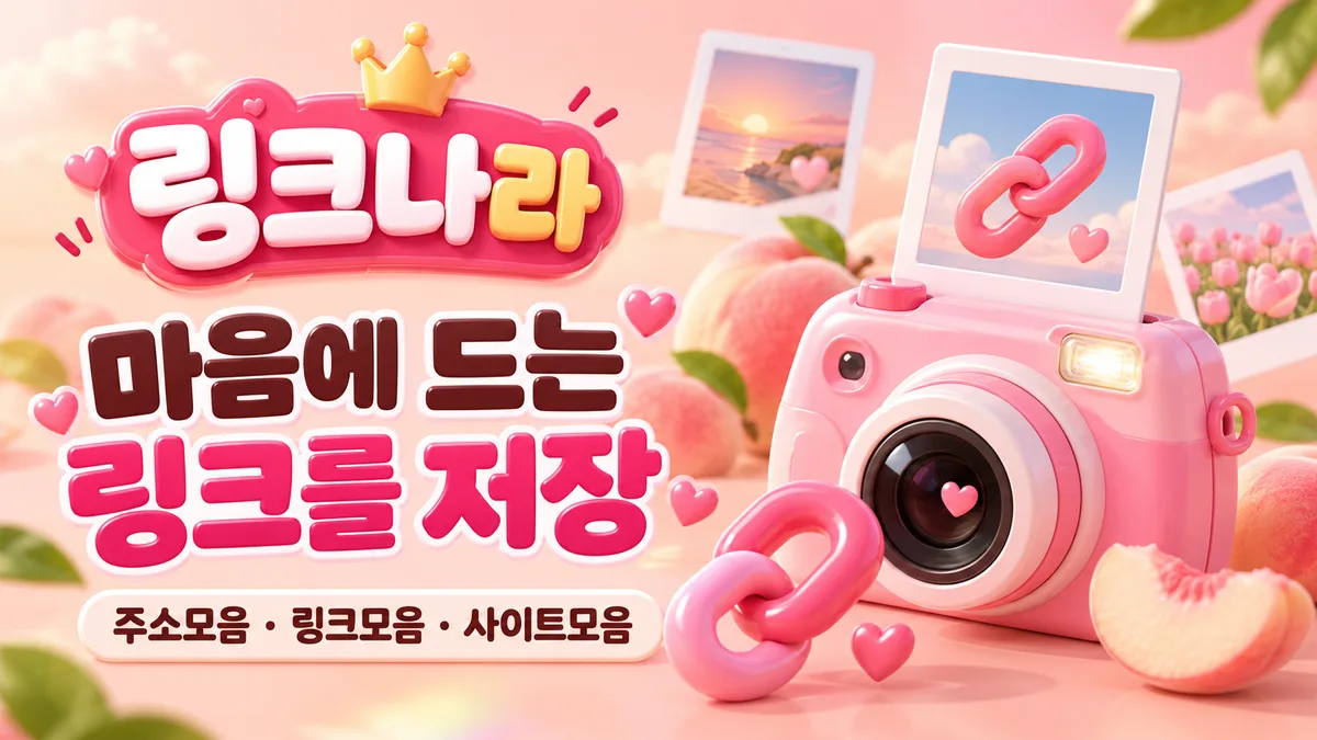 분홍 카메라와 링크 저장